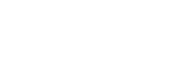 Squirrels